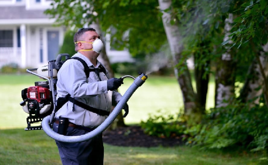 Saratoga, NY Pest Control Experts: Protecting Your Home from Pests