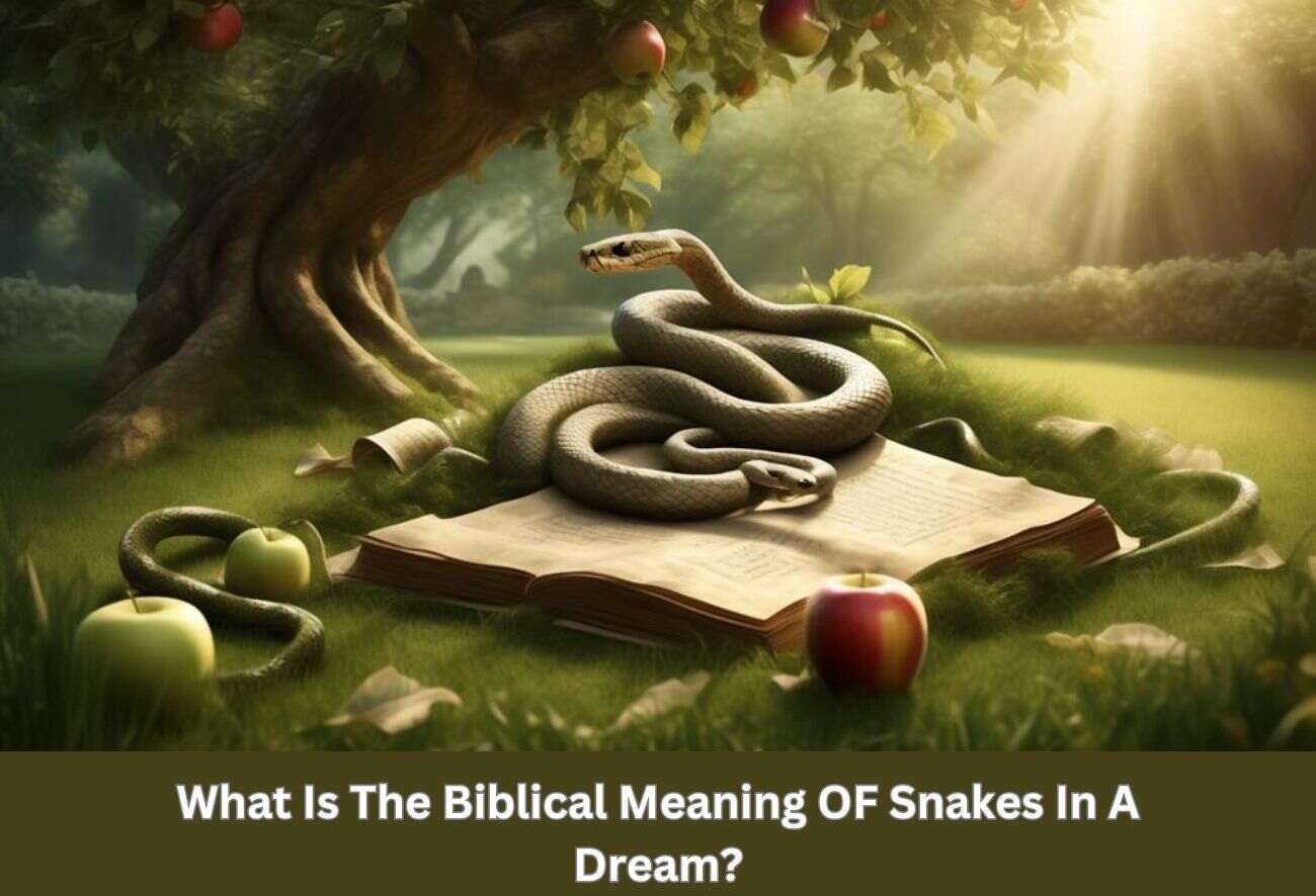 What Is The Biblical Meaning OF Snakes In A Dream