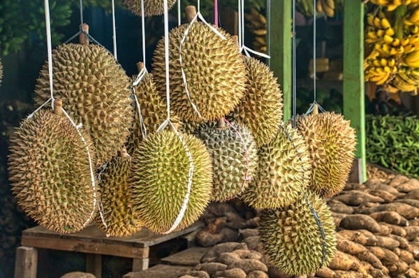 The Unique Taste of Mao Shan Wang Durian